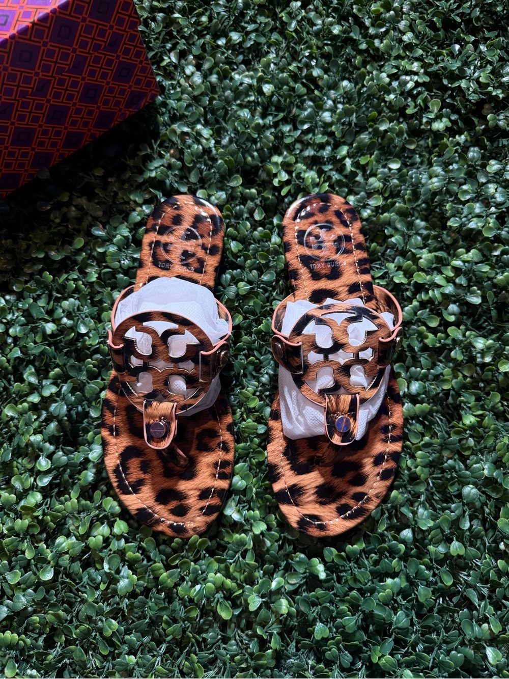 Tory Burch Miller Sandals ( Classic Leopard )